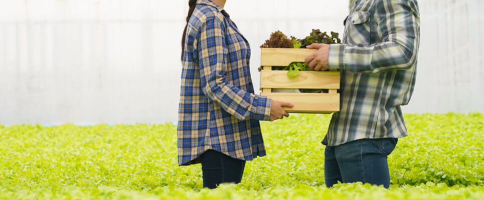 software per la tracciabilità alimentare